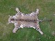 click to zoom click to zoom