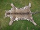 click to zoom click to zoom
