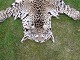 click to zoom click to zoom