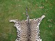 click to zoom click to zoom