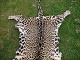 click to zoom click to zoom