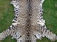 click to zoom click to zoom