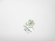 click to zoom