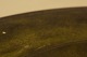 click to zoom