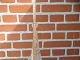 click to zoom