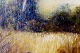 click to zoom