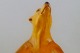 click to zoom