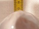 click to zoom