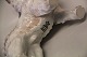 click to zoom