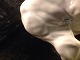 click to zoom