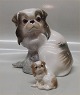 click to zoom