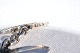 click to zoom