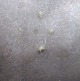 click to zoom