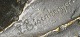 click to zoom