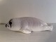 click to zoom