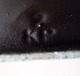 click to zoom