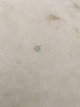click to zoom