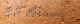 click to zoom