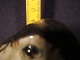 click to zoom