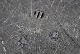 click to zoom