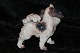 click to zoom