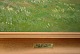 click to zoom