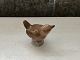 click to zoom