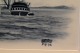 click to zoom