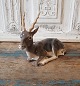 click to zoom