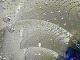 click to zoom