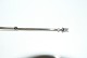 click to zoom