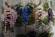 click to zoom