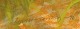click to zoom