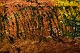 click to zoom