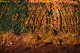 click to zoom