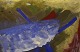 click to zoom