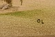 click to zoom