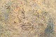 click to zoom