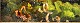 click to zoom