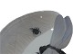 click to zoom