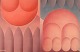 click to zoom