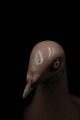 click to zoom
