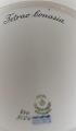 click to zoom
