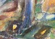 click to zoom