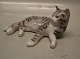 click to zoom