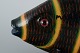 click to zoom