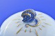 click to zoom
