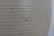 click to zoom