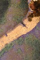 click to zoom