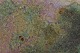 click to zoom